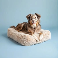 Photo of Orthopaedic dog bed