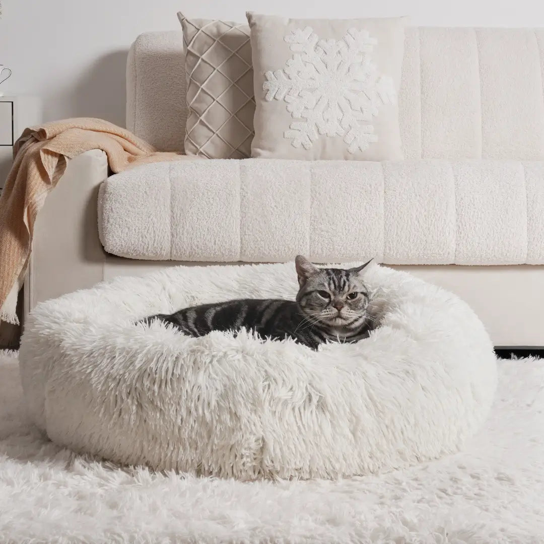 A white and cozy anxiety relieving cat bed with a relaxed tabby cat lounging, surrounded by a soft sofa and decorative pillows
