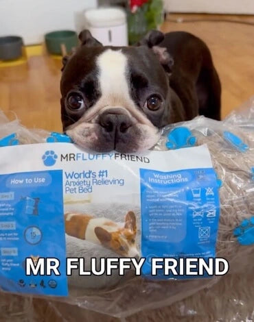 Alexia - 53 - Phoenix