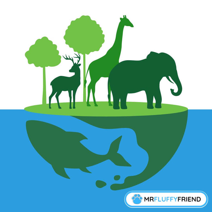 From History to Impact: Why World Animal Day Is Important