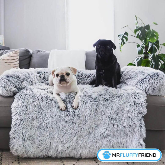 Best Couch Fabric for Dogs: A Comprehensive Guide