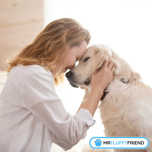 Be a Better Dog Owner: A Guide to Responsible Pet Ownership