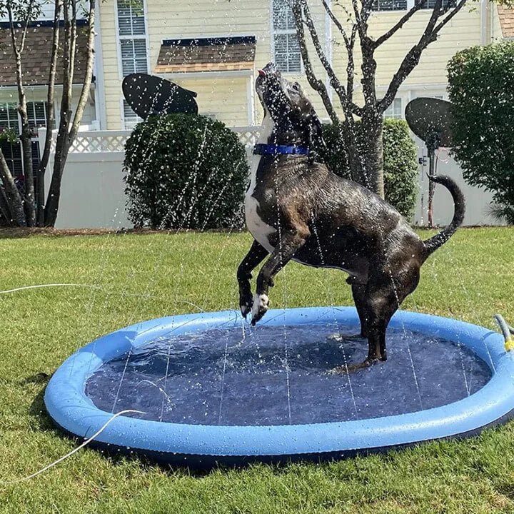 MrFluffyFriend™ - Paddling Pool for Dogs