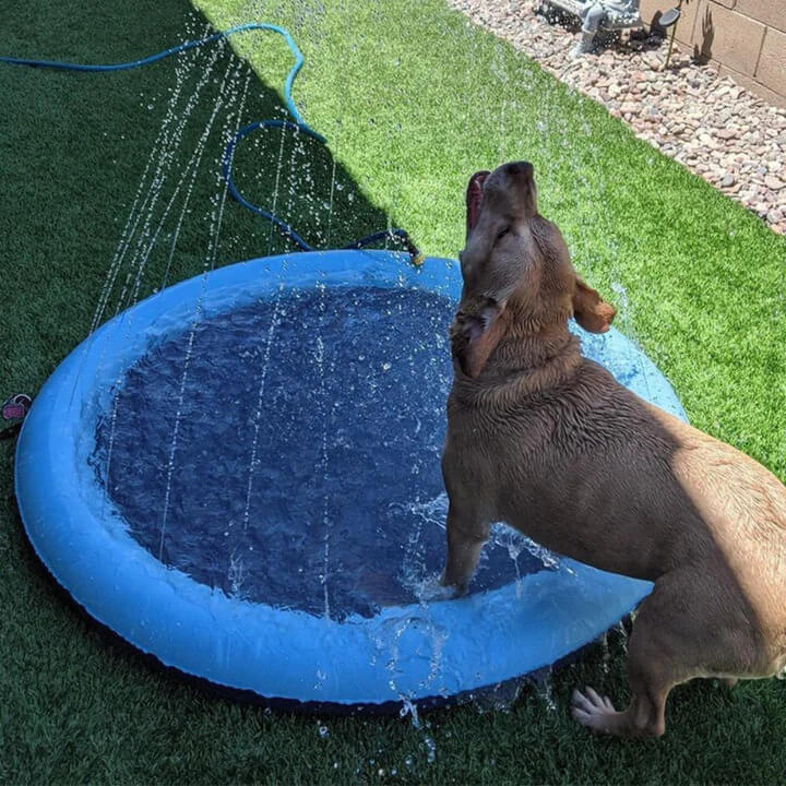 MrFluffyFriend™ - Paddling Pool for Dogs