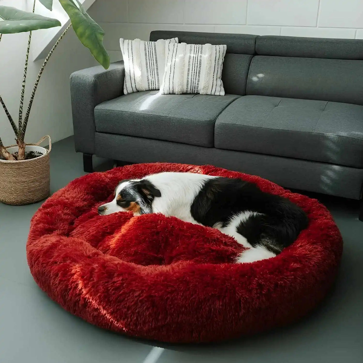 MrFluffyFriend™ - World's #1 Anxiety Relieving Dog Bed (BUNDLE)
