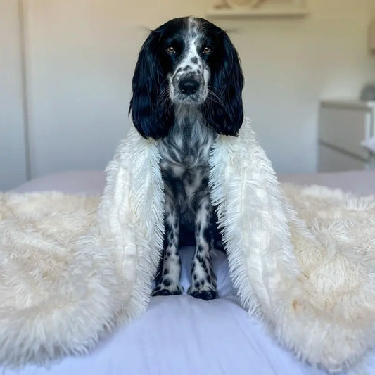 MrFluffyFriend - White Pet Blanket