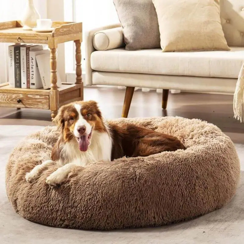 Dog laying on fluffy dog bed in brown color