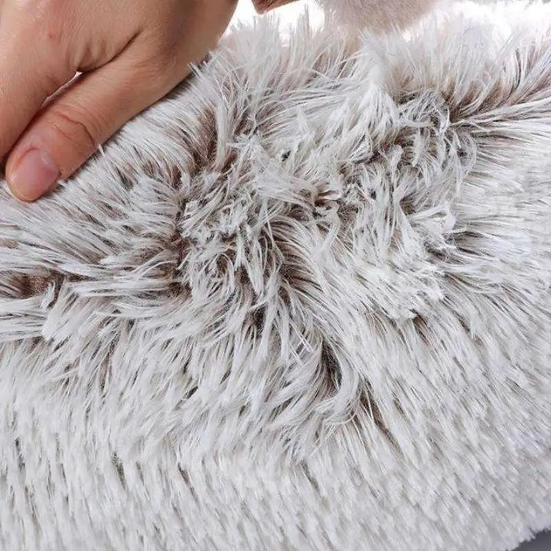 Close-up of fluffy dog bed material