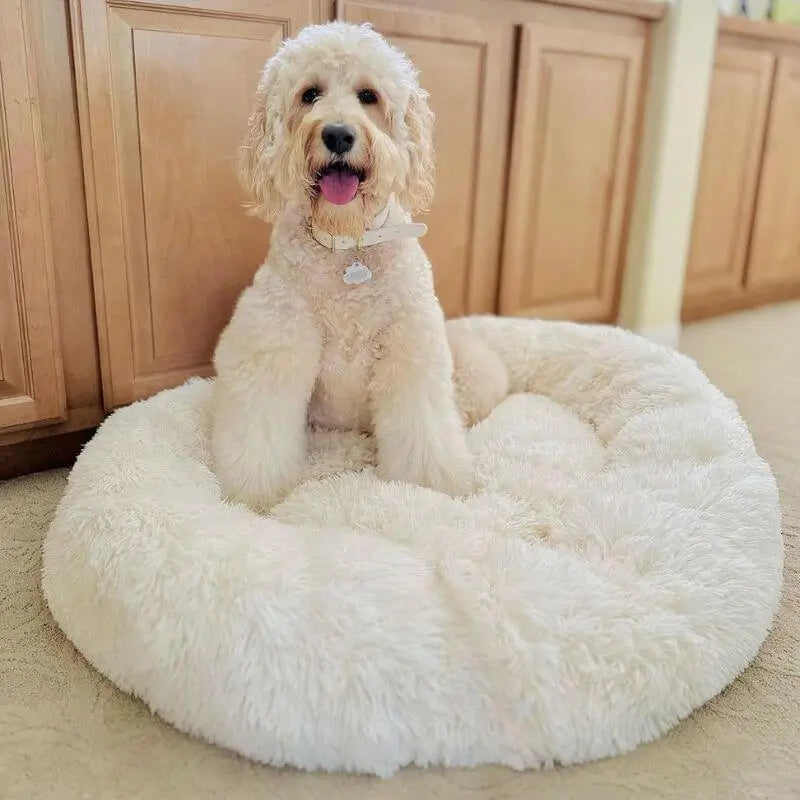 Dog laying on fluffy dog bed in pearl white color