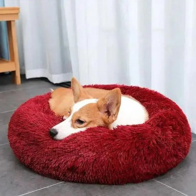 Dog laying on fluffy dog bed in red color