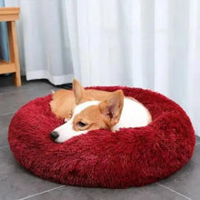 Load image into Gallery viewer, Dog laying on fluffy dog bed in red color
