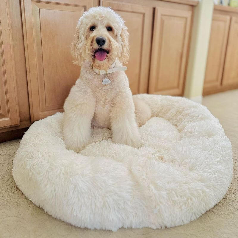 MrFluffyFriend™ - World's #1 Anxiety Relieving Dog Bed (stock)