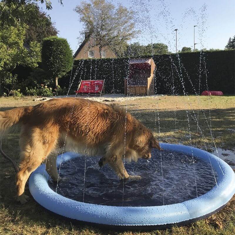 MrFluffyFriend™ - Paddling Pool for Dogs