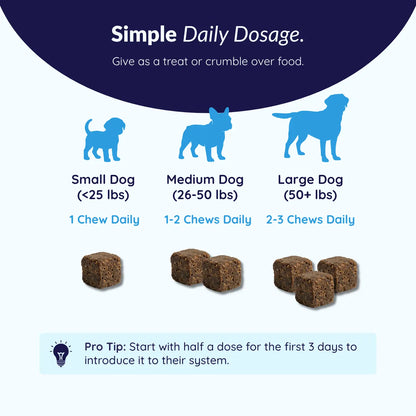 MrFluffyFriend™ - Allergy Care Chews - Natural Itch & Seasonal Allergy Support
