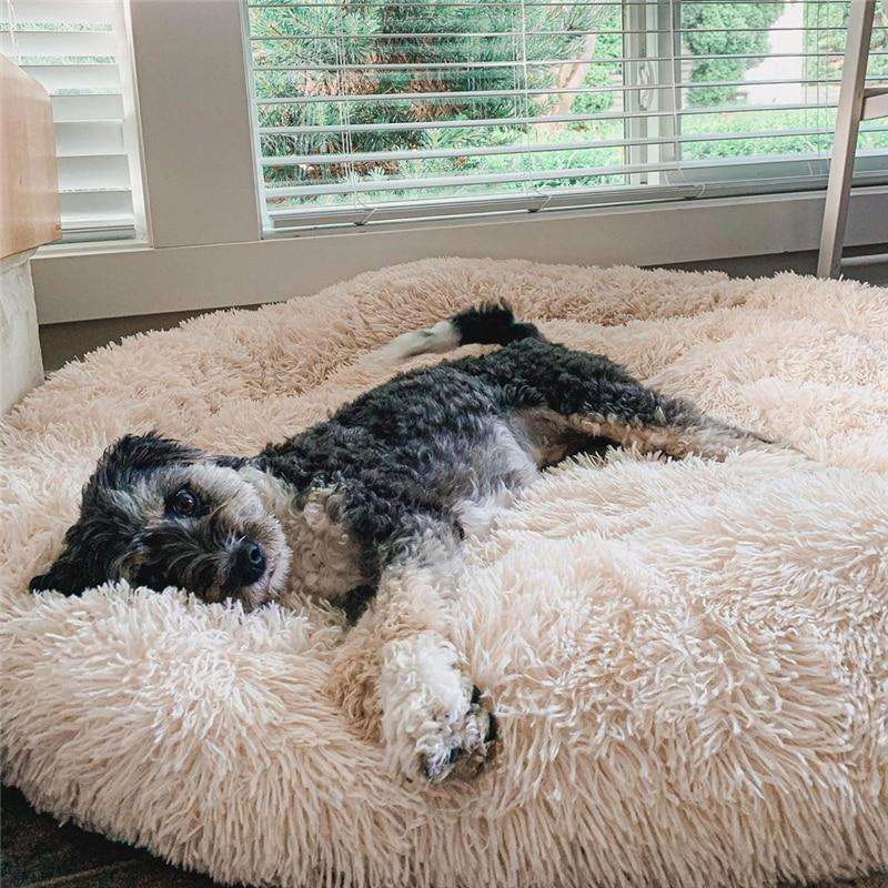 MrFluffyFriend™ - World's #1 Anxiety Relieving Dog Bed (stock)