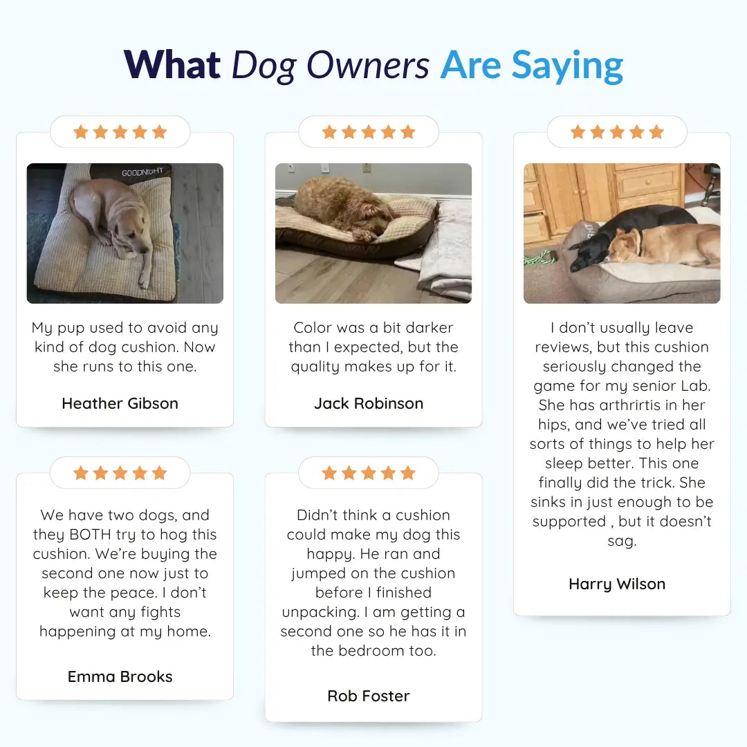 MrFluffyFriend™ - Calming Dog Cushion (Anim)