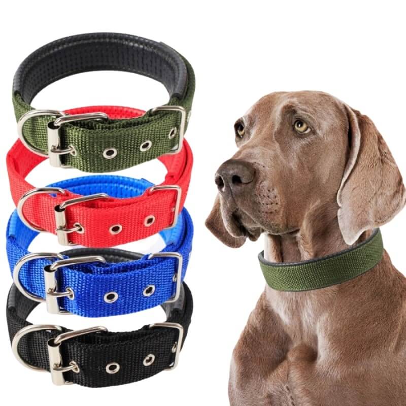 MrFluffyFriend™ - Adjustable Dog Collar
